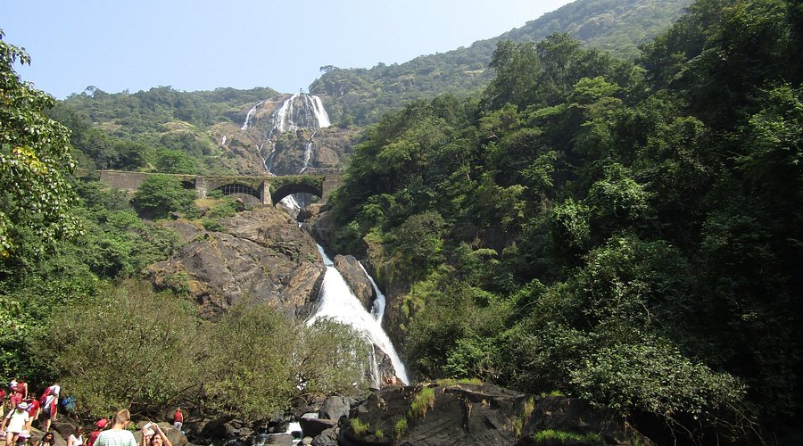 South American Amazon Exploration